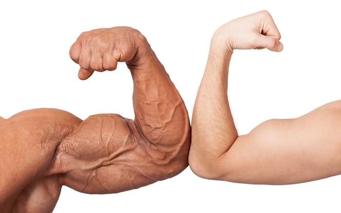 LargeandSmallBiceps